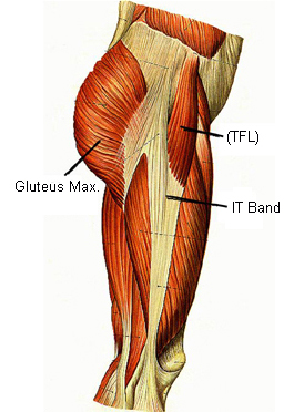 itb-anatomy